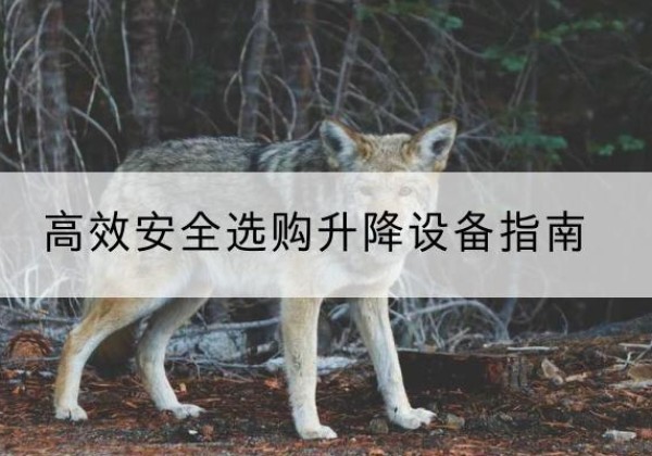 香河升降货梯厂家推荐-*安全选购升降设备指南