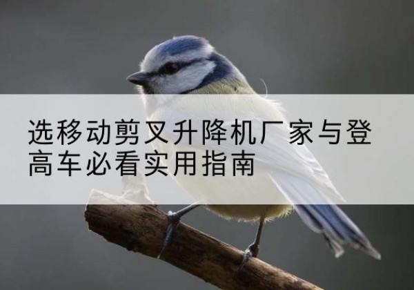 香河电动升降机厂家-选移动剪叉升降机厂家与登高车必看实用指南
