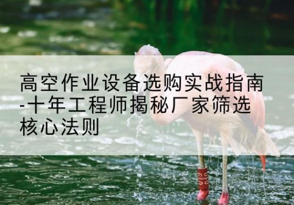 香河剪叉式升降机厂家-高空作业设备选购实战指南-十年工程师揭秘厂家筛选核心法则